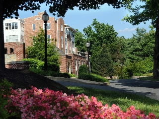 Ingleside at Rock Creek - photo 4