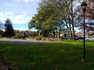 St Patrick's Manor - photo 5