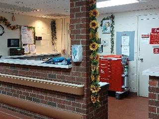 Highland House Rehabilitation & Healthcare - photo 4