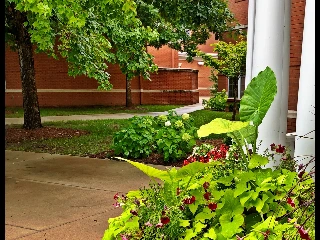 NHC Place Cool Springs - photo 1