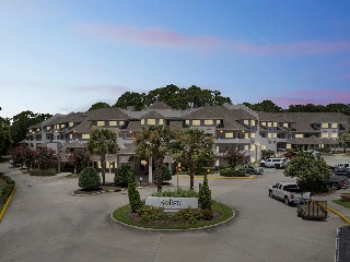 Solista Wilmington - photo 4
