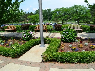 Teresian House Center for the Elderly - photo 4