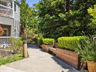 Tiffany Court of Walnut Creek - photo 5