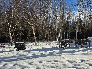 Fairbanks Pioneer Home - photo 5