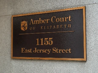 Amber Court of Elizabeth - photo 4