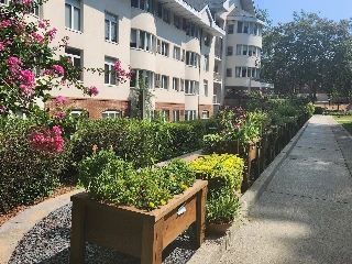 Saint Anne's Terrace - photo 4