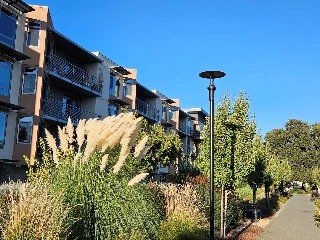 Viamonte at Walnut Creek - photo 4