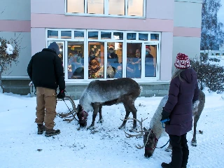 Denali Center - photo 4