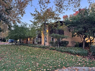 Sycamore Place - photo 3