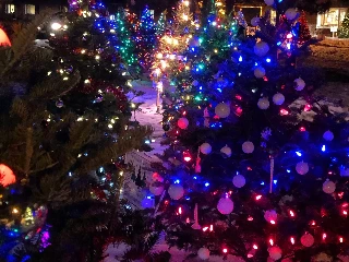 Pine Grove Nursing Home - photo 2