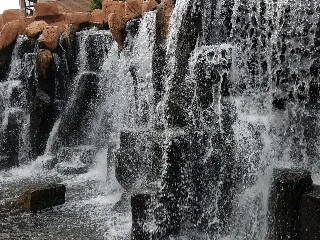 Alden Gardens of Waterford - photo 2