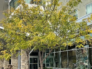 Fort Worth Transitional Care Center - photo 5