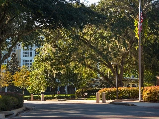Oak Hammock at the University of Florida - photo 3